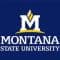 montana-state-university